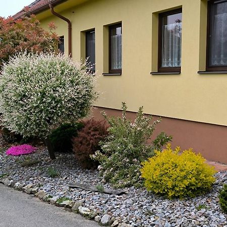 Ubytovani U Janca Lednice Buitenkant foto